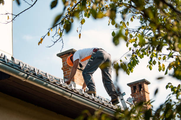 Best Roof Repair Services  in Harvard, IL